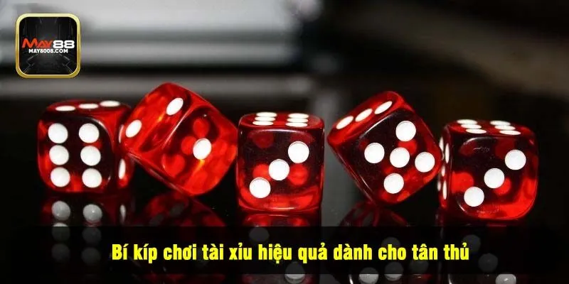 Bí kíp chơi tài xỉu hiệu quả dành cho tân thủ