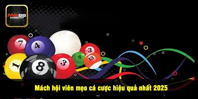 Mách hội viên mẹo cá cược hiệu quả nhất 2025