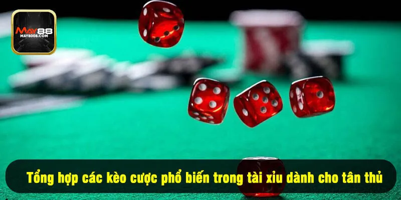Tổng hợp các kèo cược phổ biến trong tài xỉu dành cho tân thủ