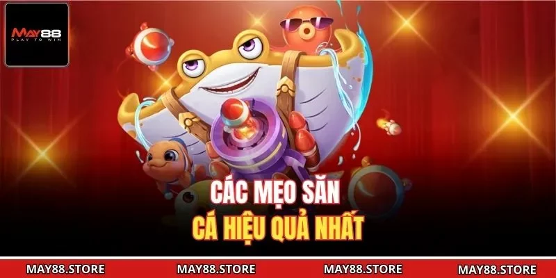 Các mẹo săn cá hiệu quả nhất