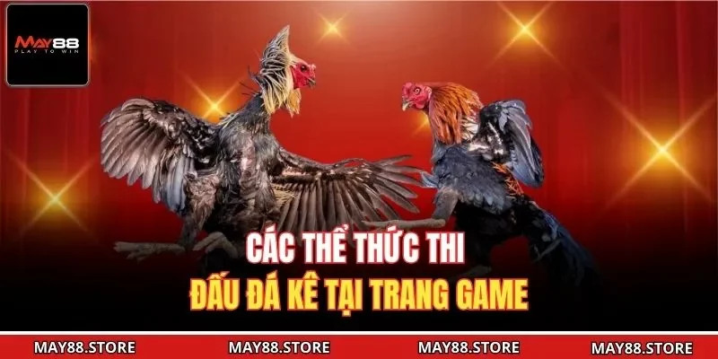Các thể thức thi đấu đá kê tại trang game