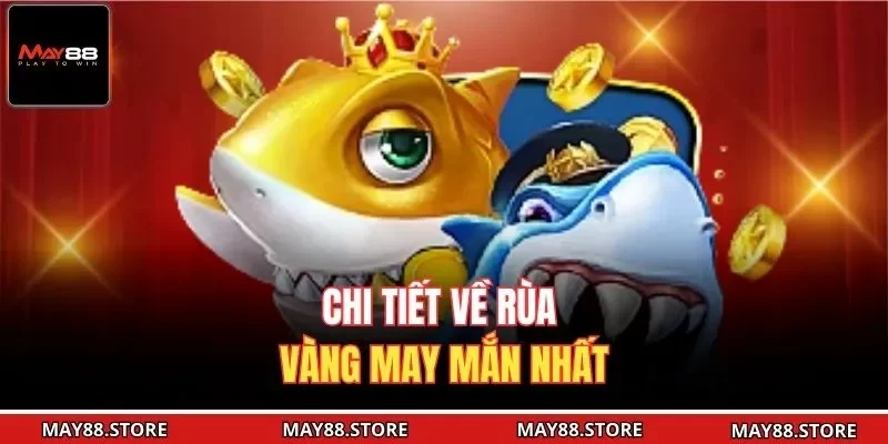 Chi tiết về rùa vàng may mắn nhất