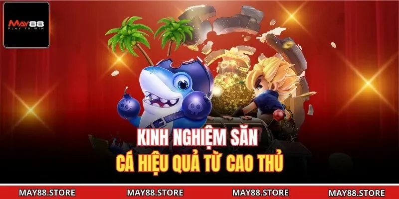 Kinh nghiệm săn cá hiệu quả từ cao thủ