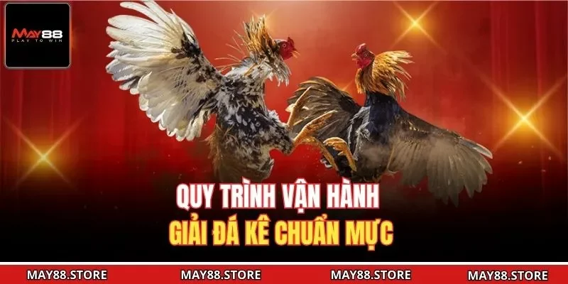 Quy trình vận hành giải đá kê chuẩn mực